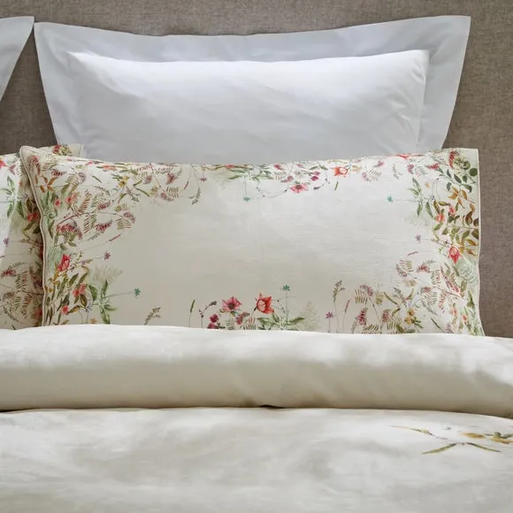 Dorma Rambling Rose Cream 100% Cotton Standard Pillowcase Pair