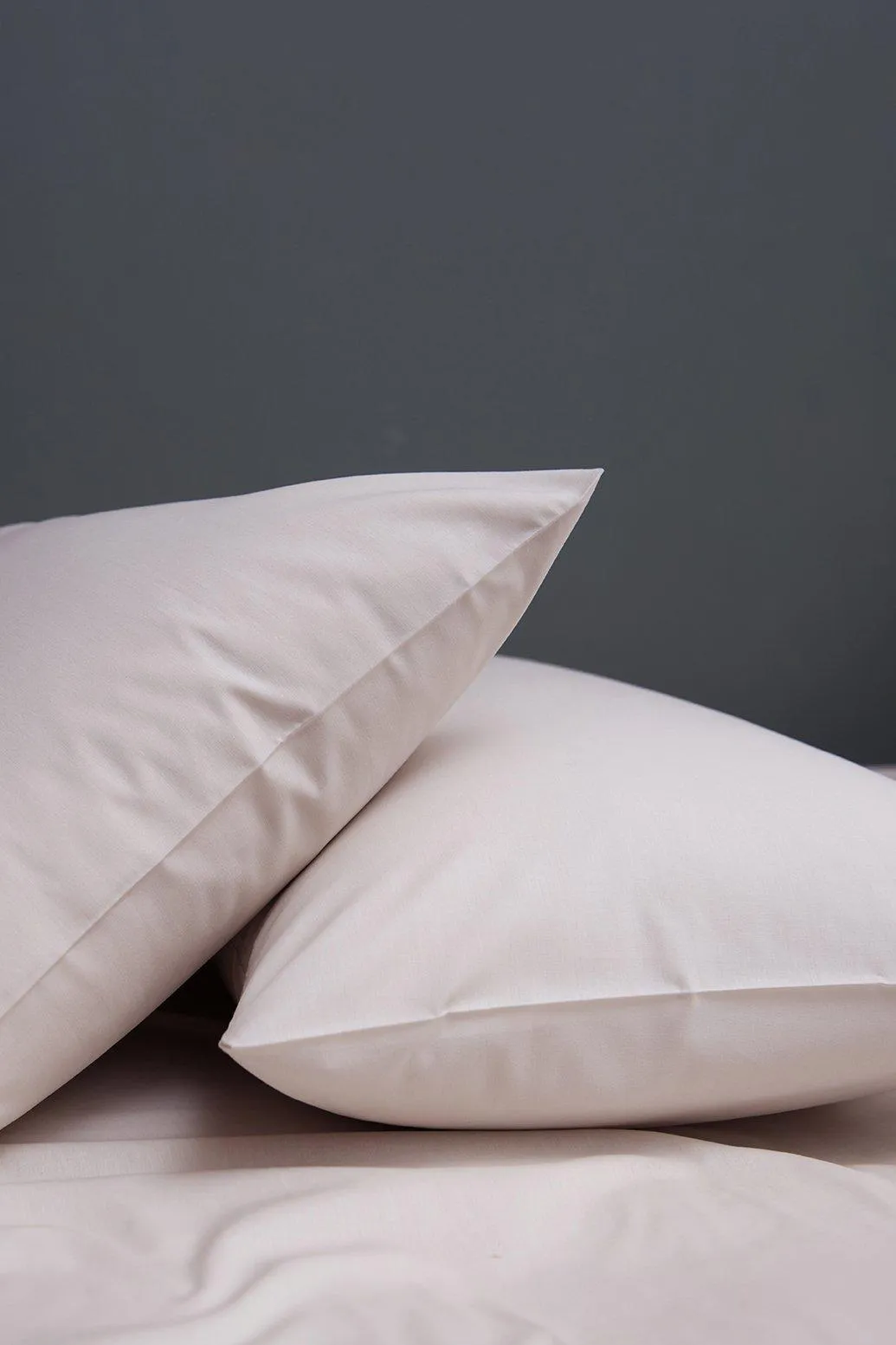 200 Thread Count Standard Pillowcase Pair