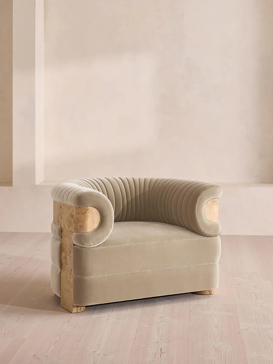 Caleb Armchair, Blonde Burl, Velvet, Oyster