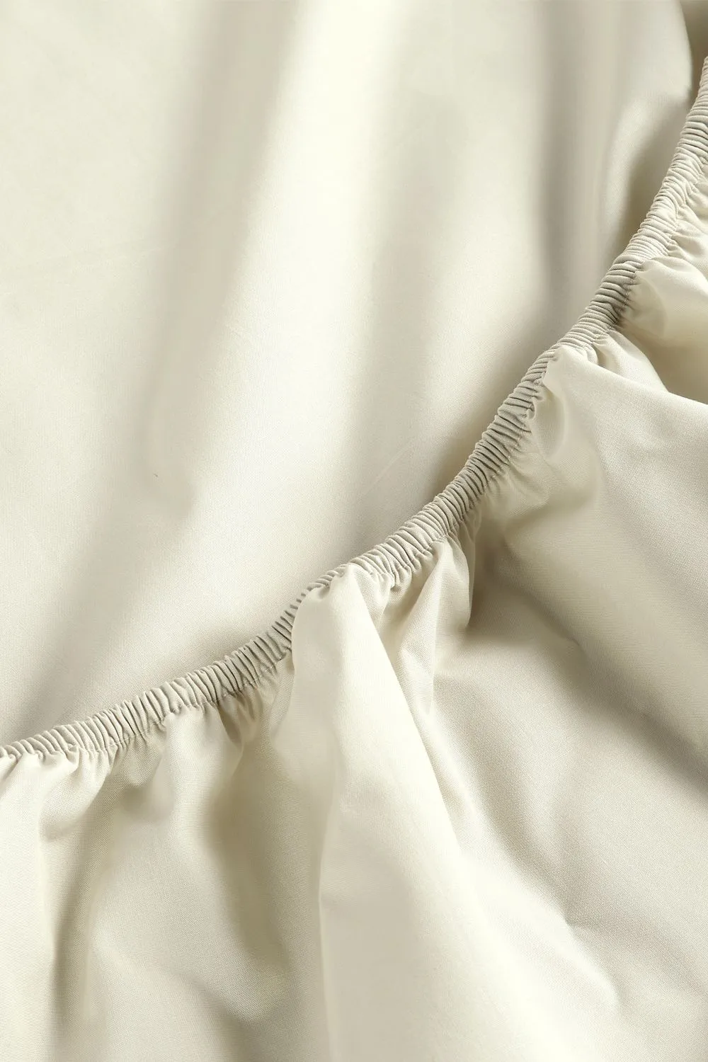 CHRISTY Pure Cotton Percale Fitted Sheets in Beige 3