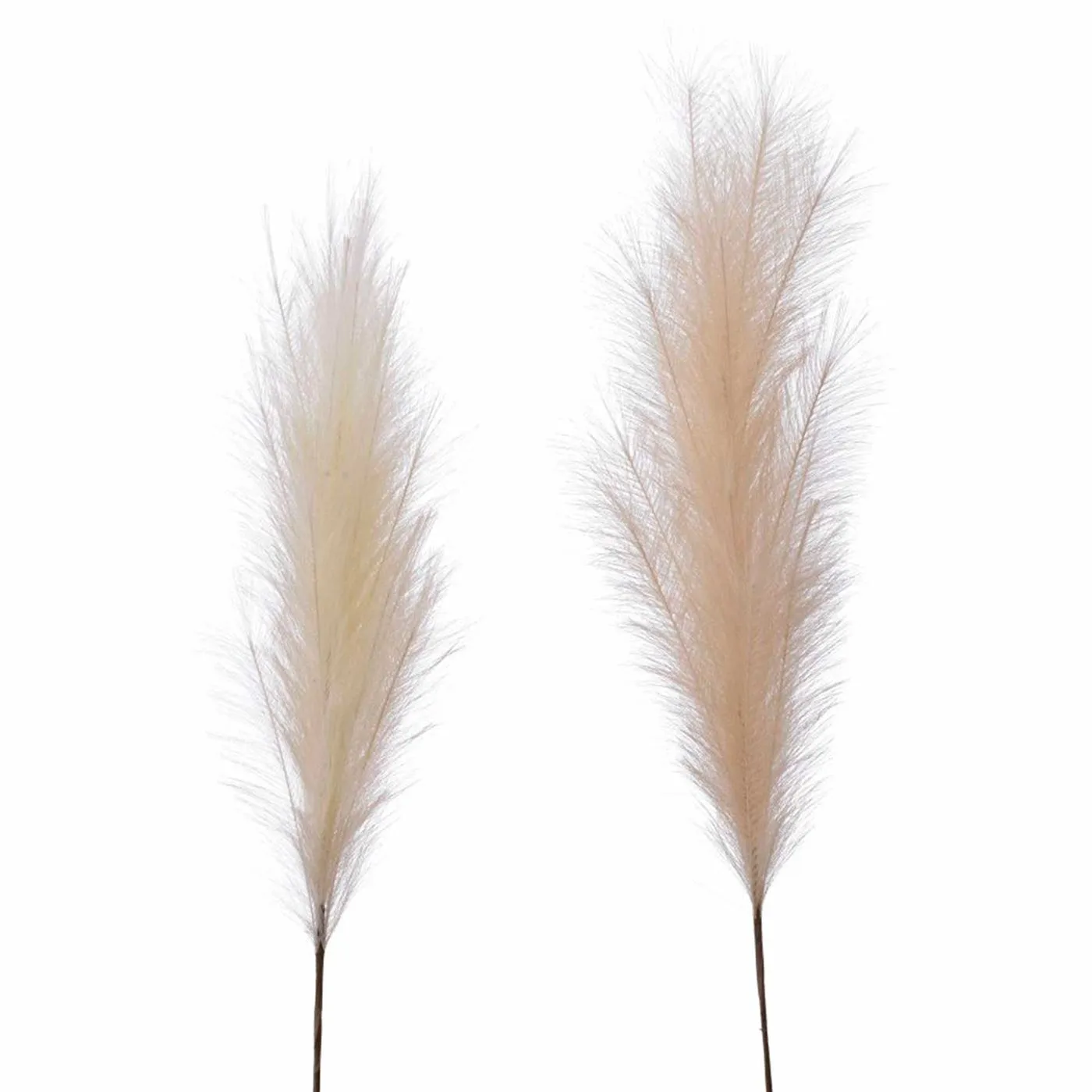 Set of 2 Neutral Pampas Grass