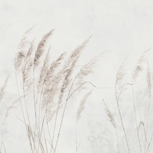Pampas Grass Wall Mural 5
