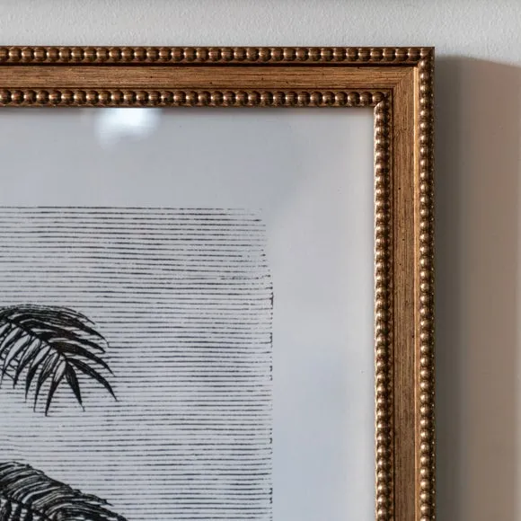 Cedar and Sage Set of 2 Palm Drawing Framed Prints 2