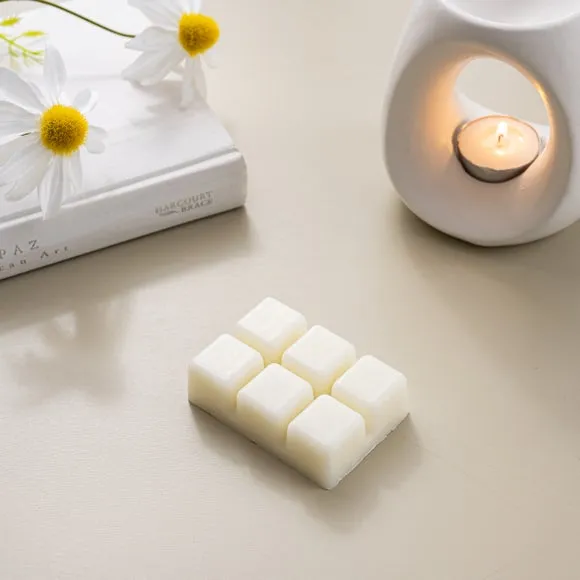 Set of 6 Springtime Daisy Waxmelts