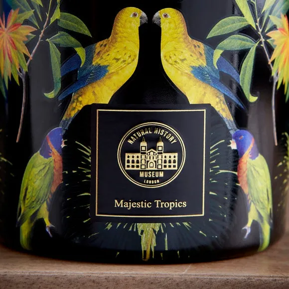 Majestic Tropics Birds Candle 2