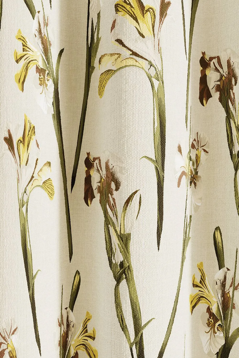 Ted Baker 'Wild Iris' Cotton Lined Curtains in Cream 3