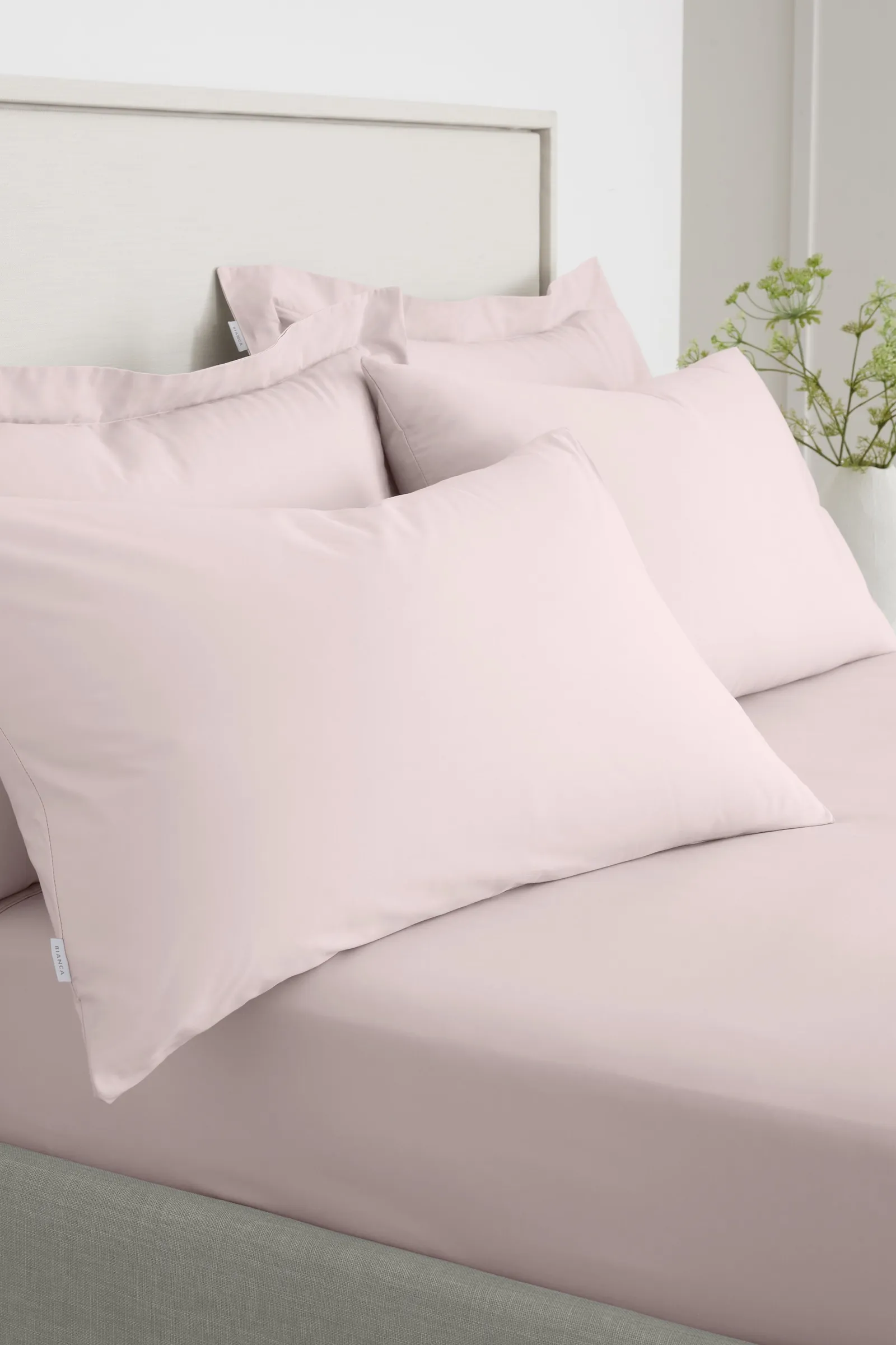 Bianca '200 Thread Count Cotton Percale' Standard Pillowcase Pair in Pink 1