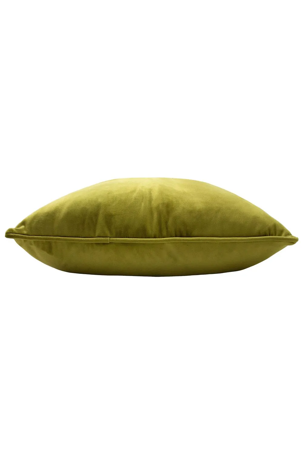 Paoletti Hortus Embroidered Bee Soft Velvet Pipe Trimmed Cushion in Olive 3