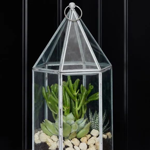 Glass House Terrarium 4