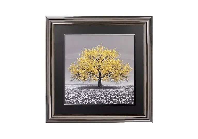 Yellow Cherry Tree 90x90 Framed Picture