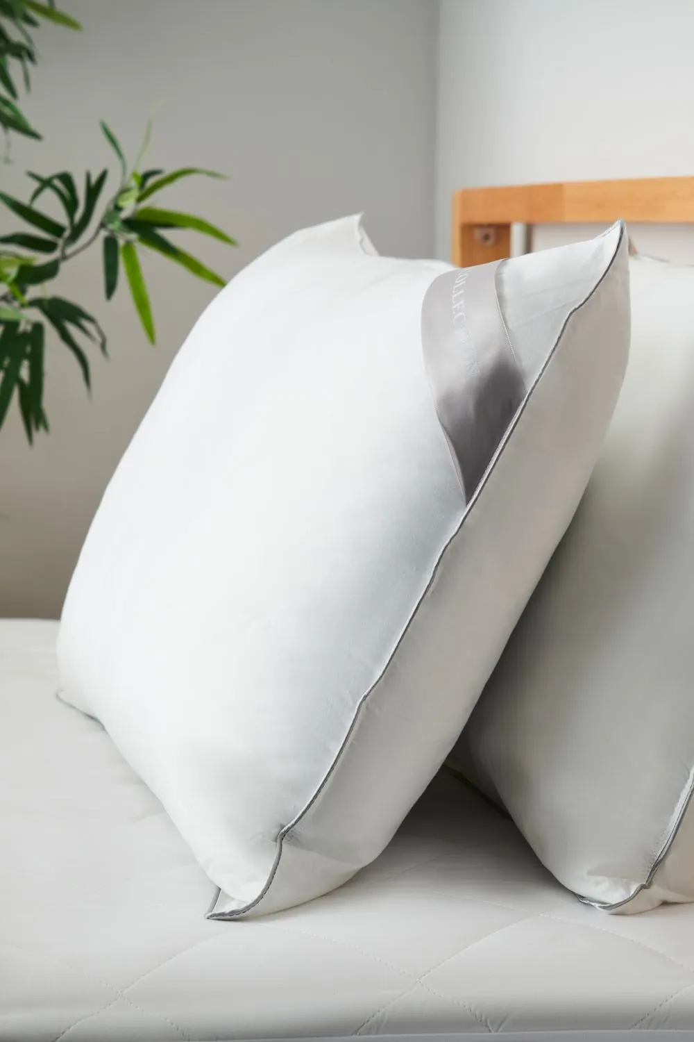 BHS Home Collection Feels Like Down Pair Pillow in White 3