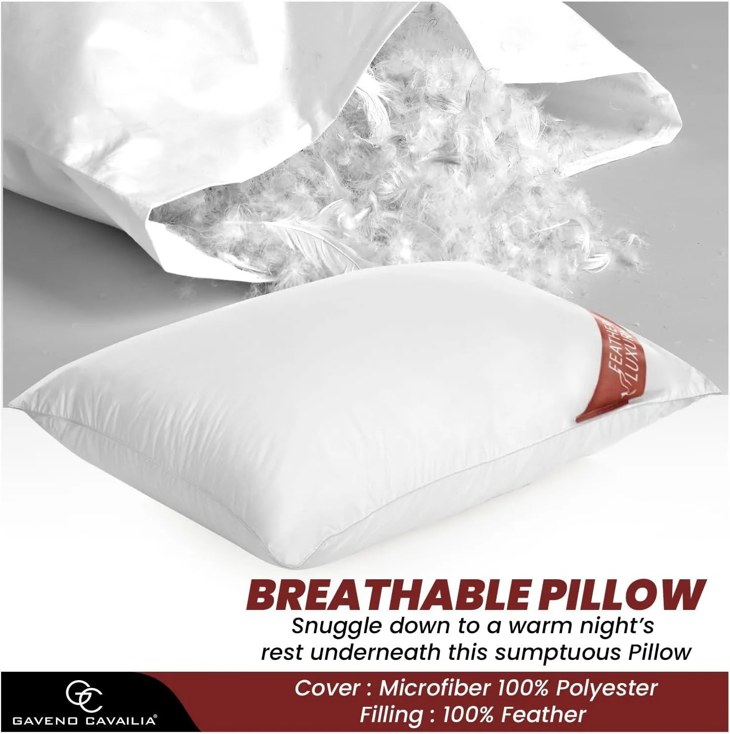 GAVENO CAVAILIA 2 Pack Feather Luxury Pillow Set in White 4