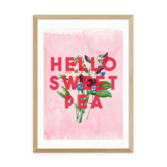 East End Prints Hello Sweet Pea Print by The 13 Prints 2