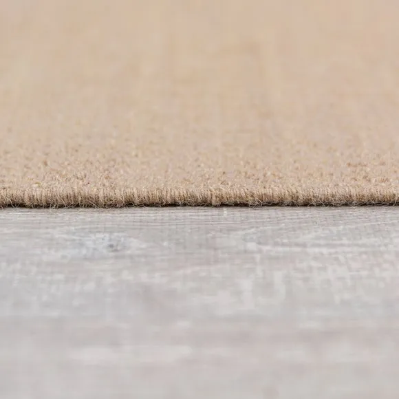 Wool Flatweave Fringed Rug 4