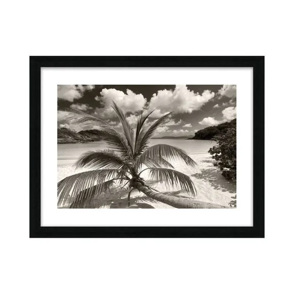 The Art Group Still Growing To The Sun Framed Print 2