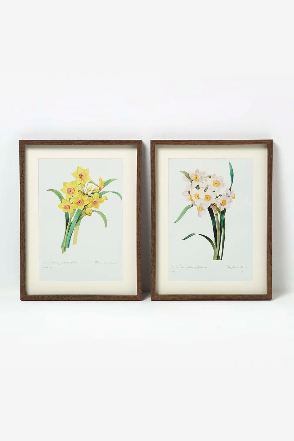 Homescapes Set of 2 Narcissus Flower Wall Art in Yellow