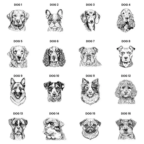 Personalised Dog Breed Cushion 2