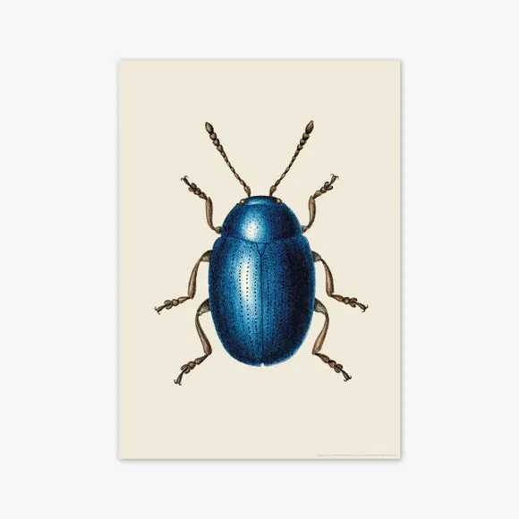 East End Prints Mustard Beetle Print 2