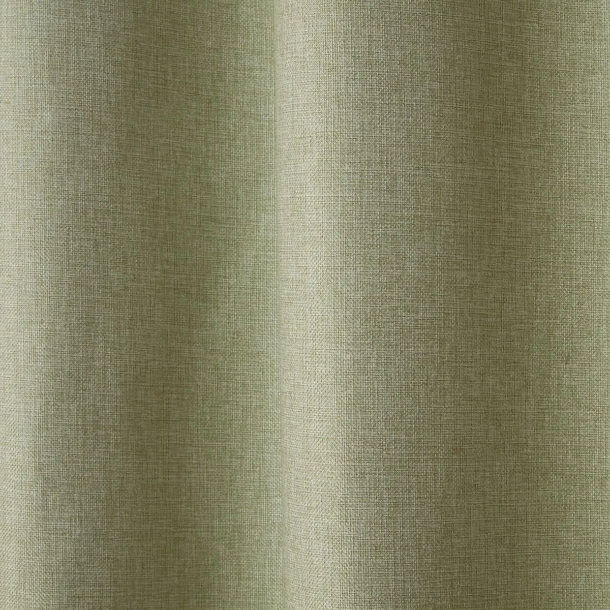 Sundour Cosmos Eyelet Curtains in Green 3