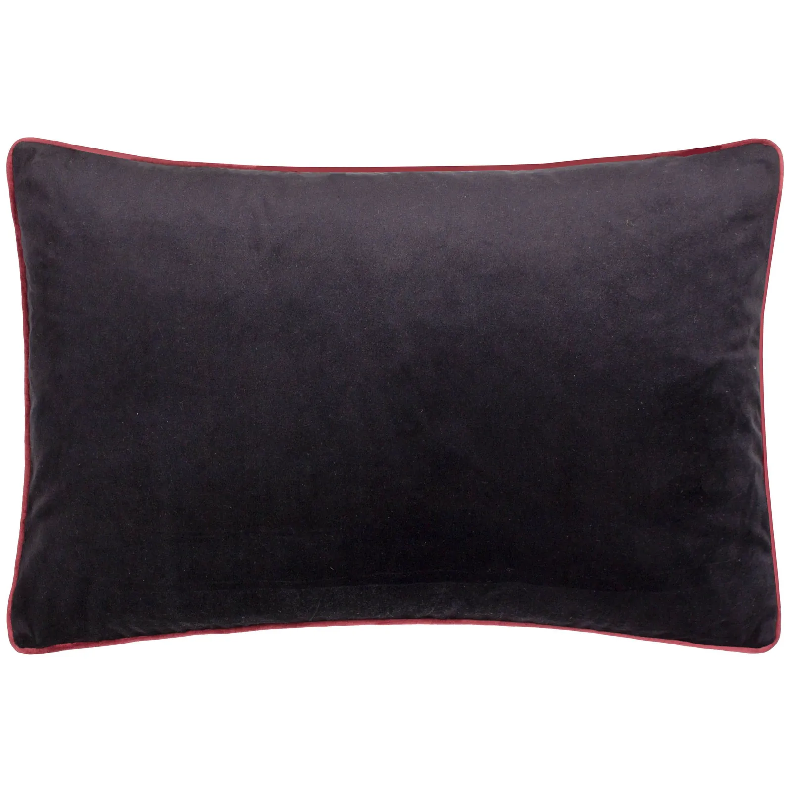Paoletti Atlantica Embroidered Velvet Cushion in Black 3