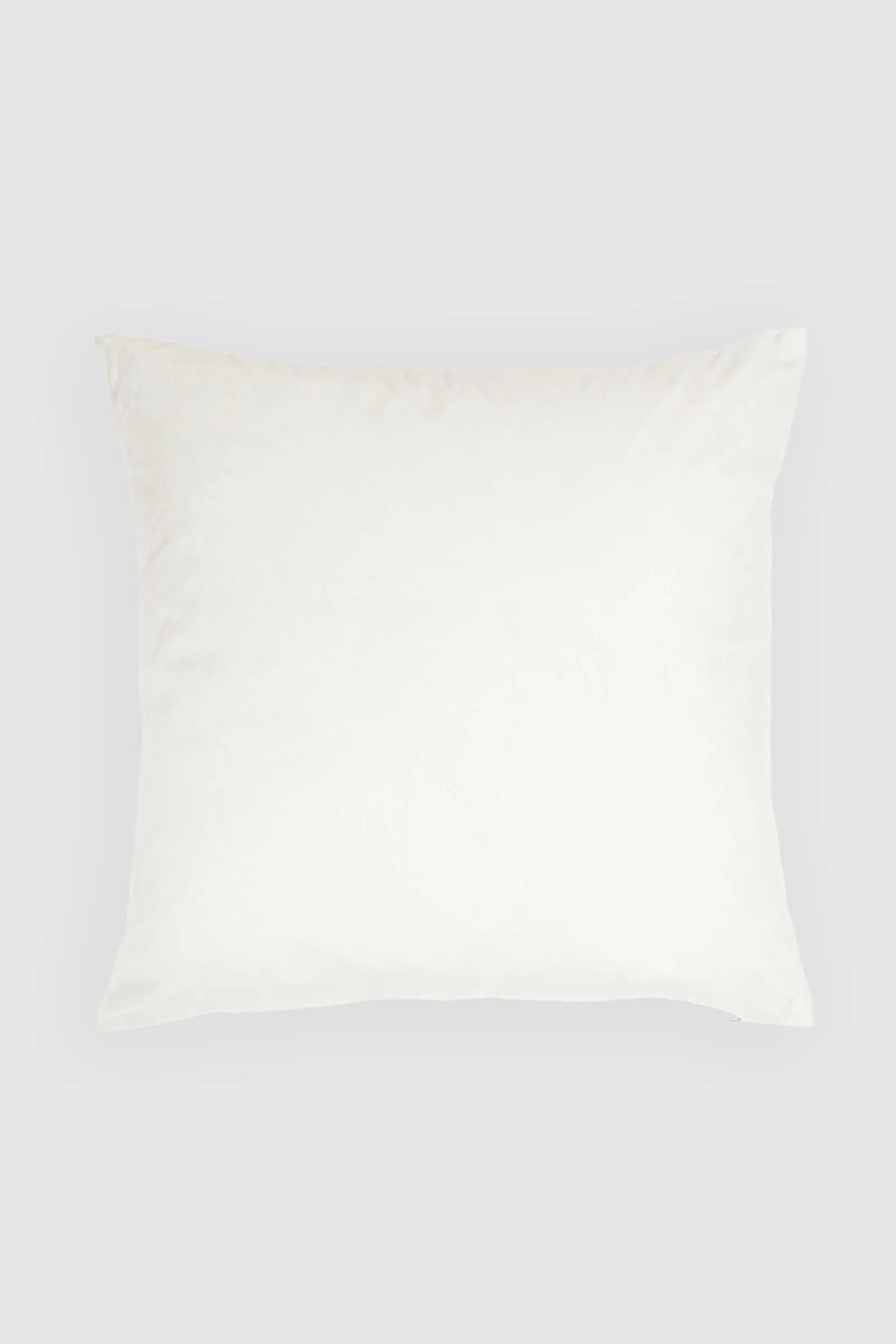 Velvet Cushion