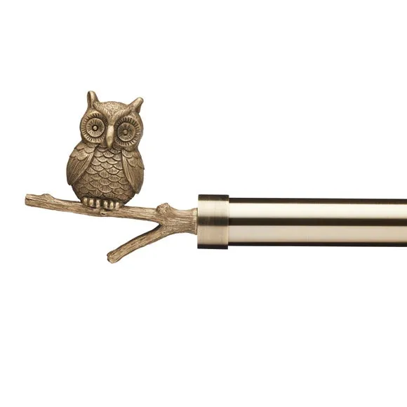 Pair of Owl Finials 2