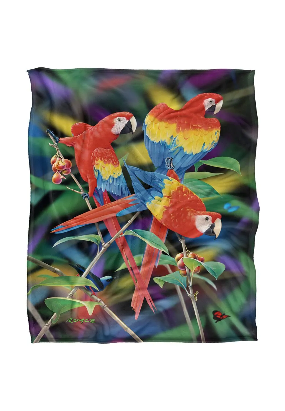 JQ Licensing Royce Mcclure Macaws Silky Touch Super Soft Throw Blanket 152 X 127 cm in White