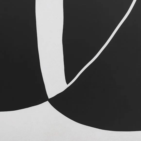 Cedar & Sage Abstract Noir et Blanc Framed Print 3