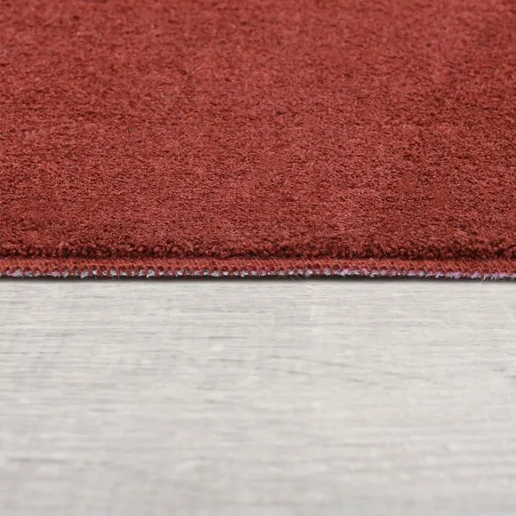 Amber Sheen Rug 4