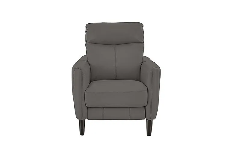 Compact Collection Petit Leather Armchair - BV Elephant