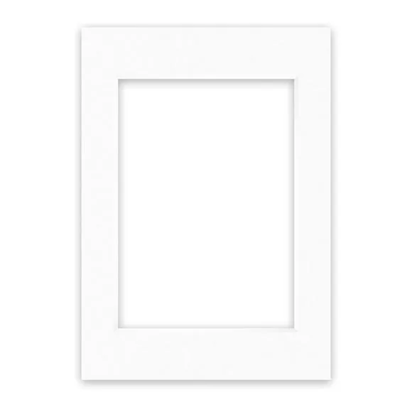 Nielsen Conservation White Picture Mount 1