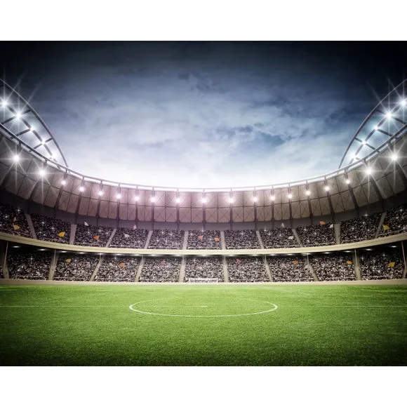 Football Stadium Wall Mural 3