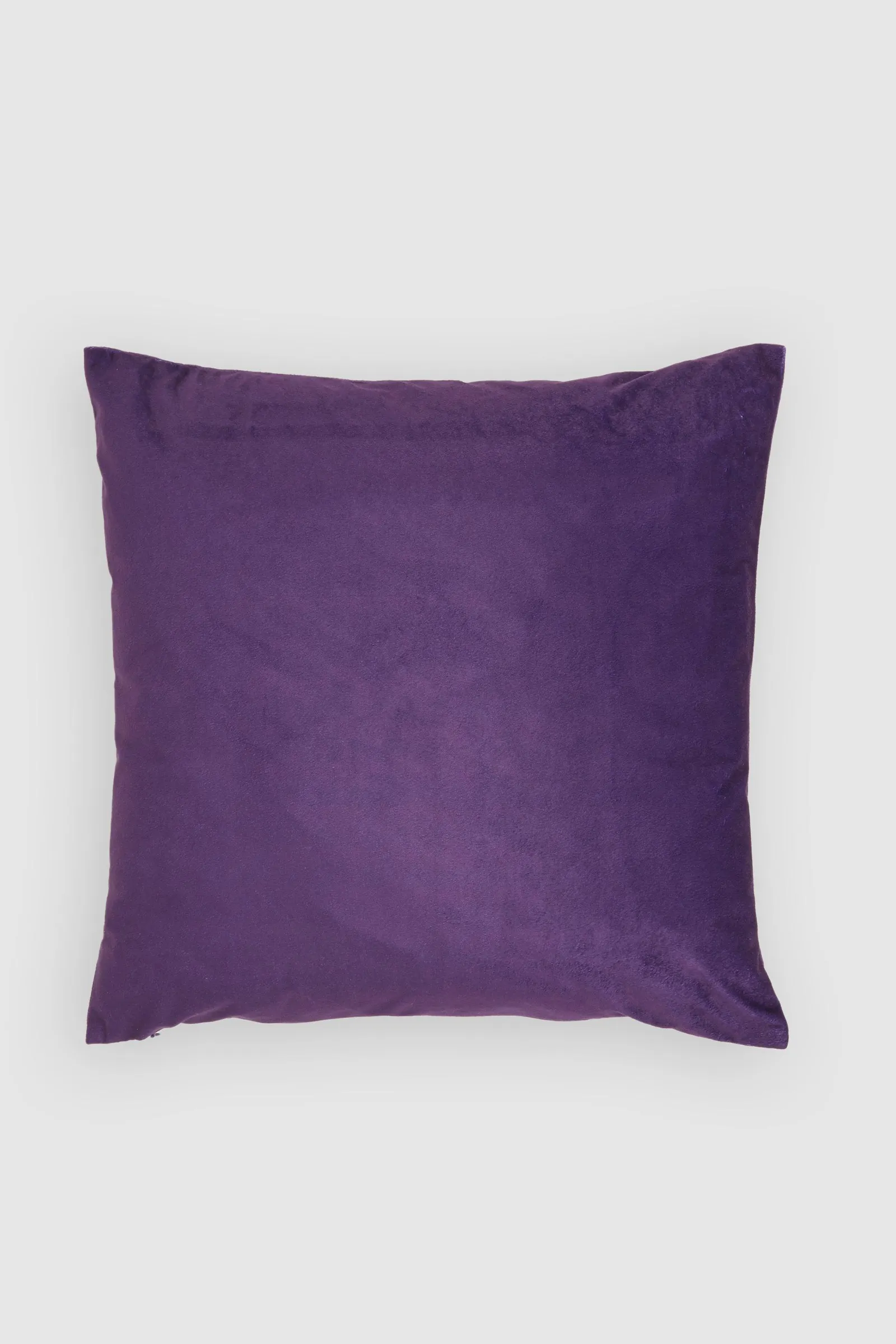 Velvet Cushion