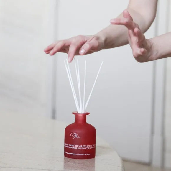 Meg Hawkins The Rainforest Hummingbird Diffuser 2