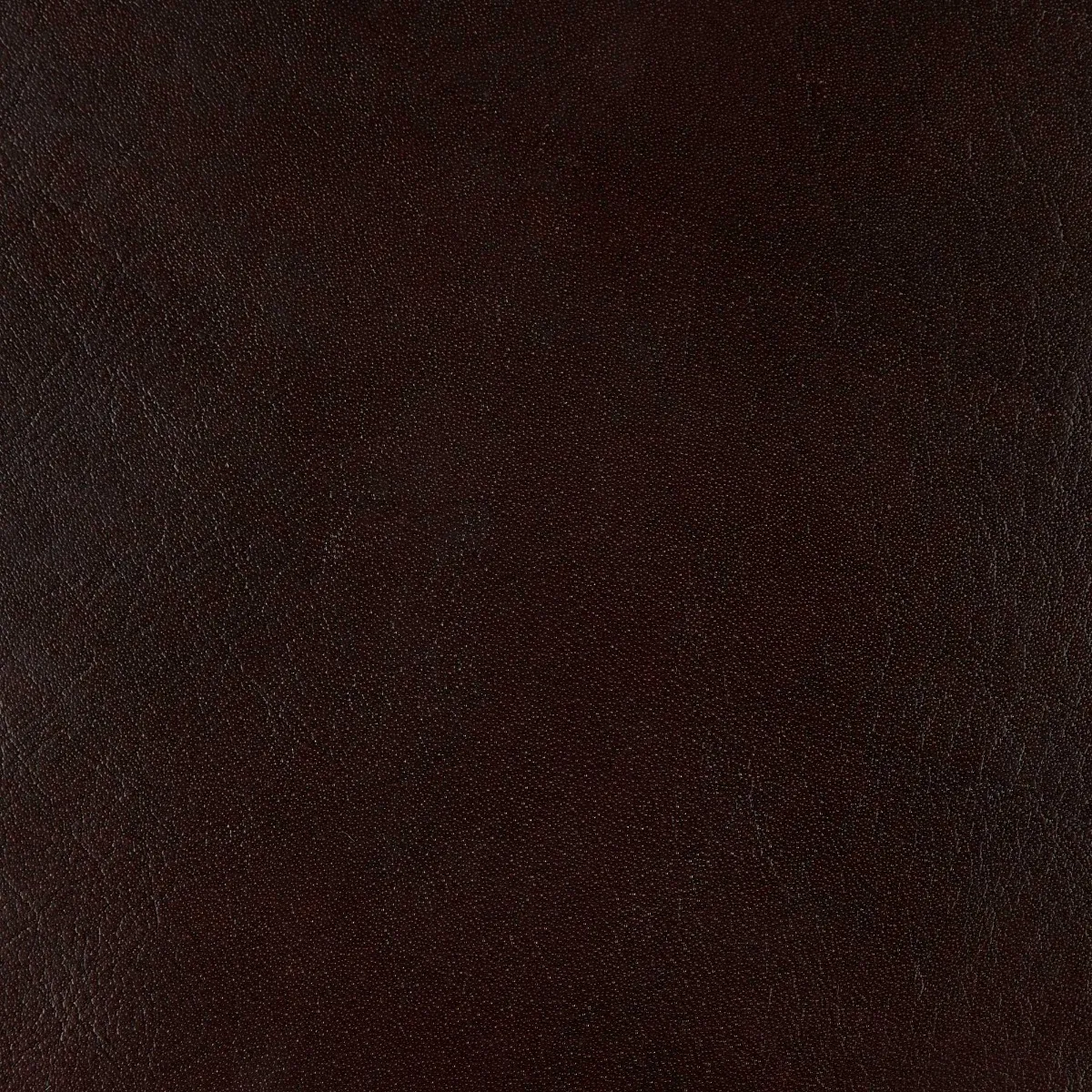 Pure Furniture Twyford Dining Chair, Brown Leather | Barker & Stonehouse 2