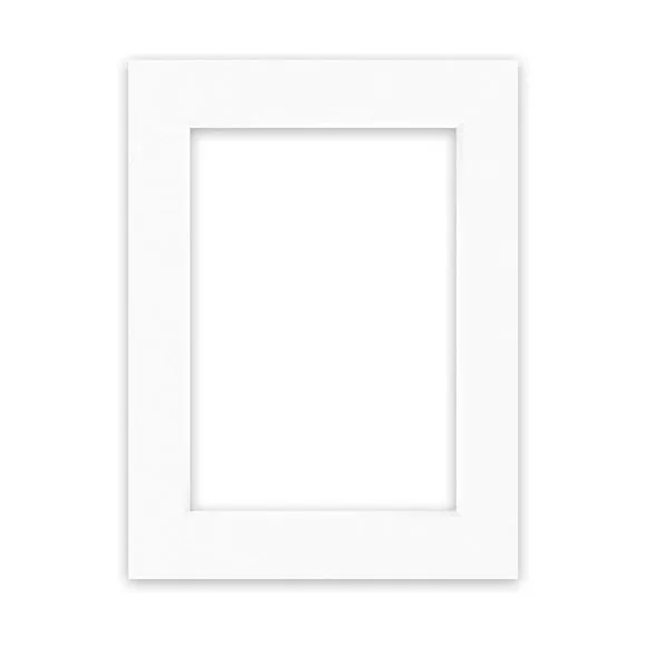 Nielsen Conservation White Picture Mount 1