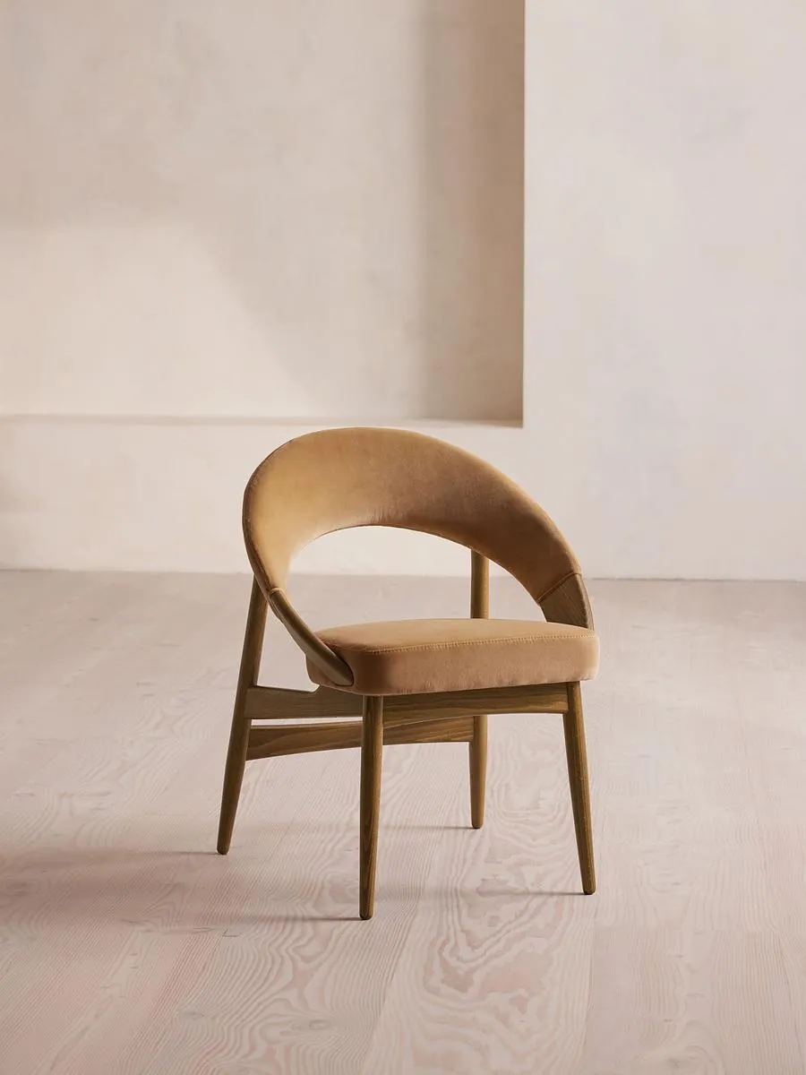 Lachlan Dining Chair, Velvet, Camel