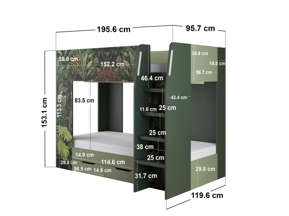 Flair Lorith Jungle Bunk Bed with Drawers in Dark Green 6