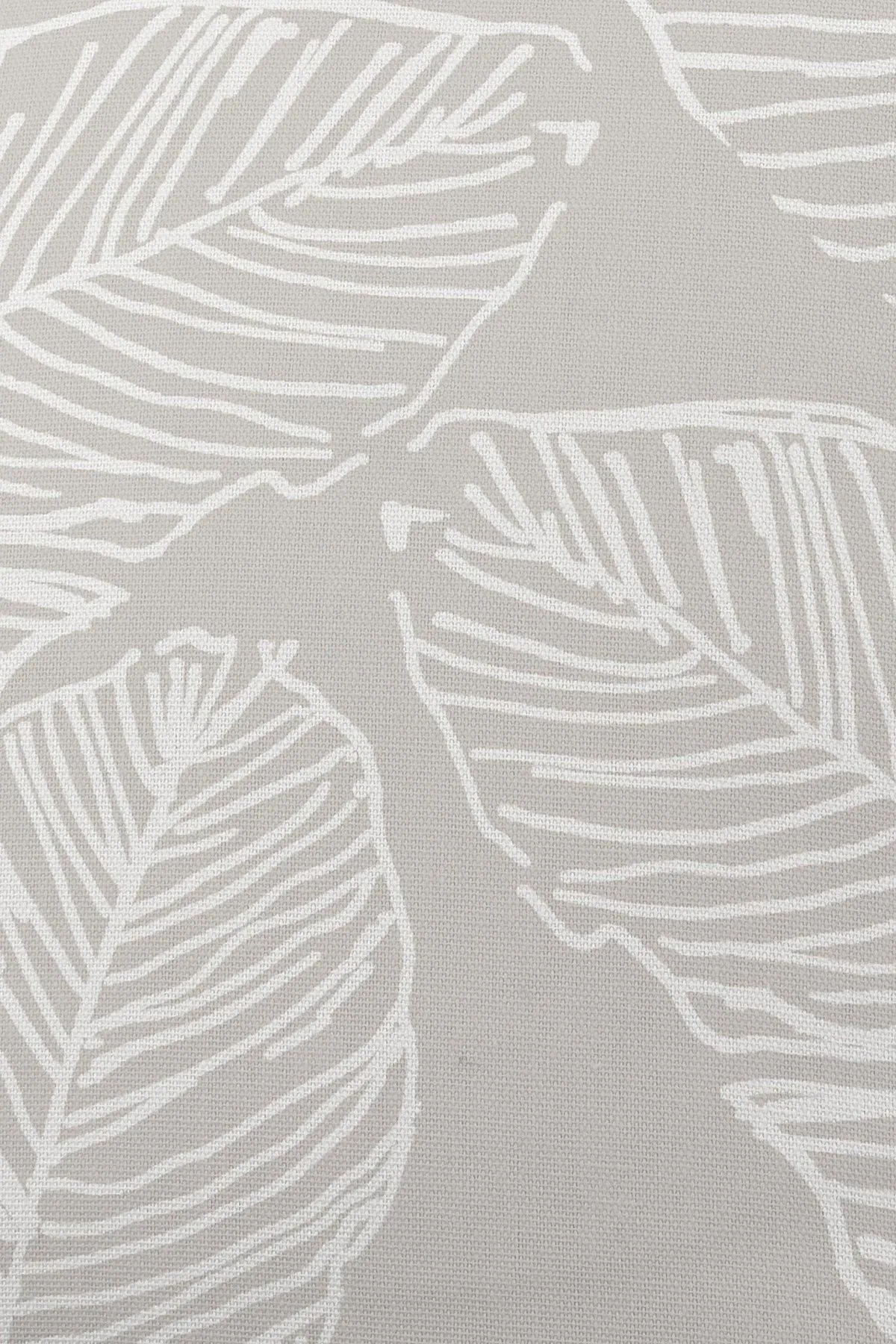 Fusion 'Matteo' Hand Drawn Leaf Print Filled Cushion 100% Cotton in Natural 3