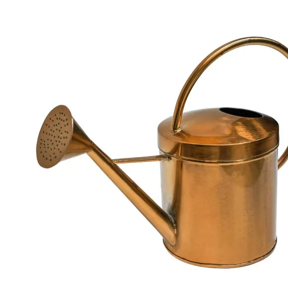 Kensington Copper Metal Indoor Watering Can 3