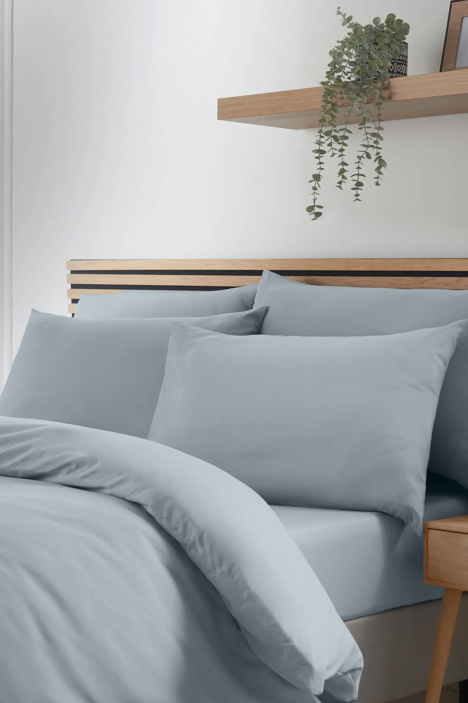 Catherine Lansfield So Soft Non Iron Standard Pillowcase Pack of 4 in Mid Grey 1