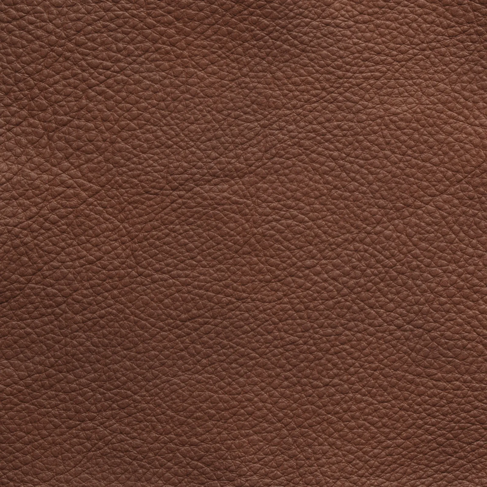 Conform Timeout Highback Swivel Armchair Leather | Barker & Stonehouse 4