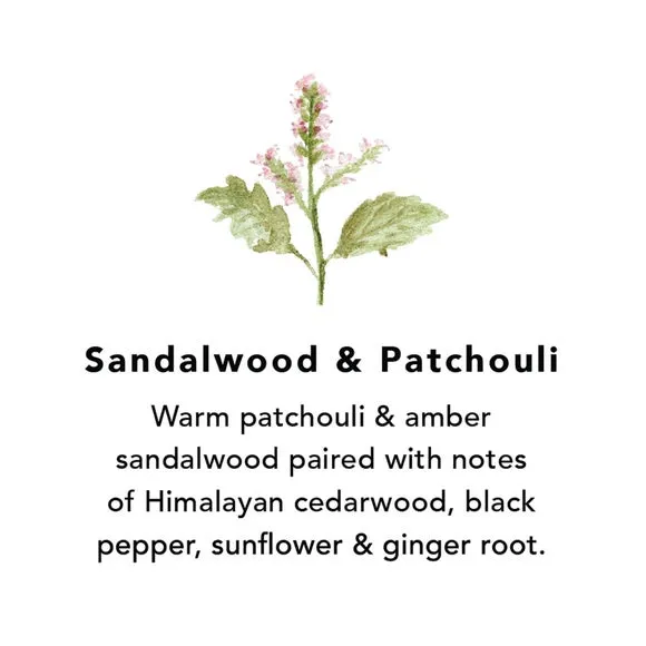 Northern Lights Set of 6 Sandalwood and Patchouli Votive Candles 2