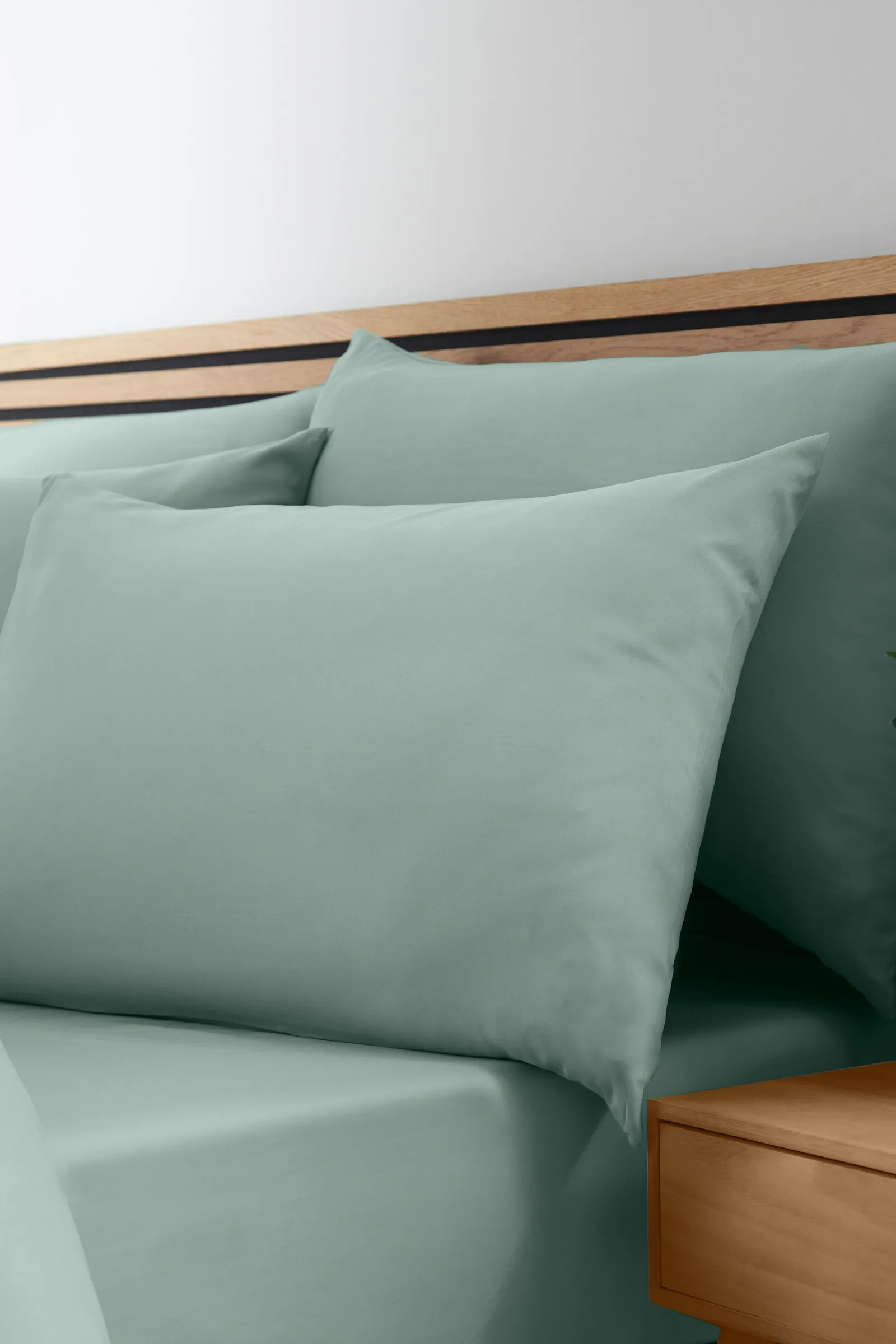 Catherine Lansfield So Soft Non Iron Standard Pillowcase Pack of 4 in Green 2