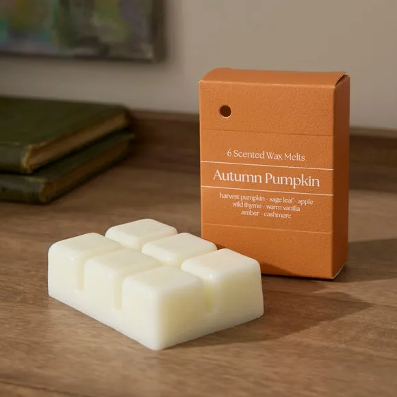 Set of 6 Autumn Pumpkin Wax Melts