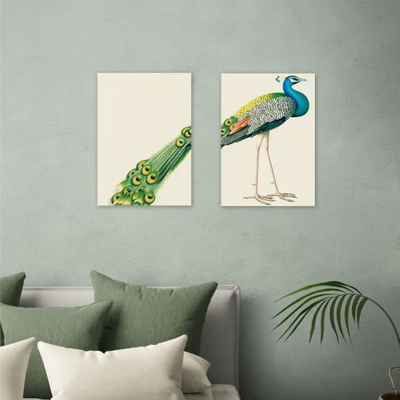 East End Prints Set of 2 Peacock Prints 1