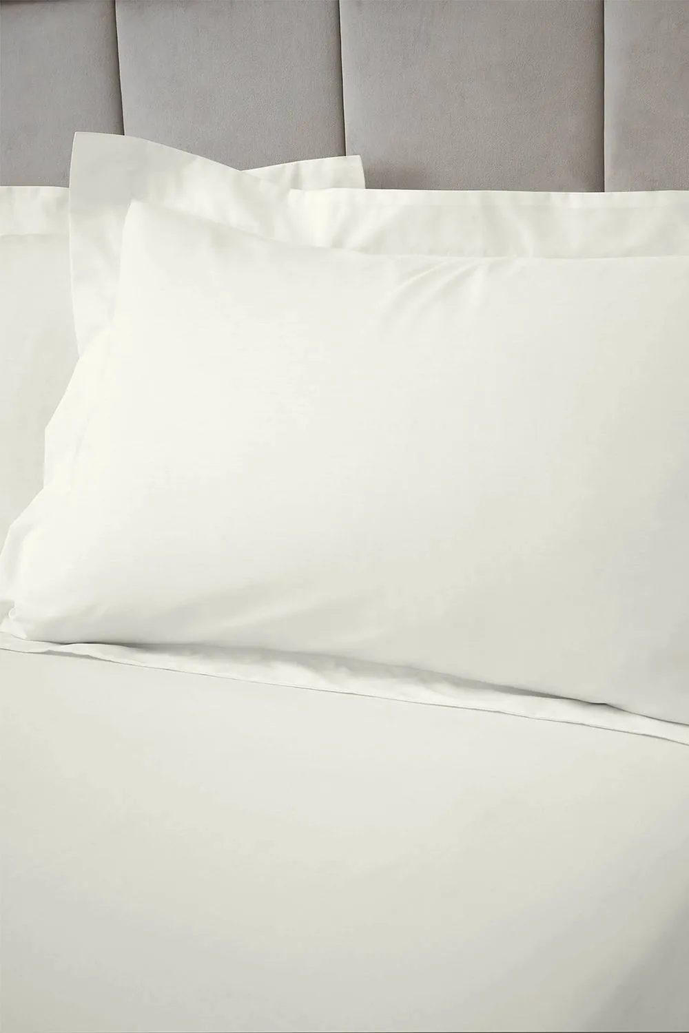 Bianca 180 Thread Count Egyptian Cotton Oxford Pillowcase in Cream