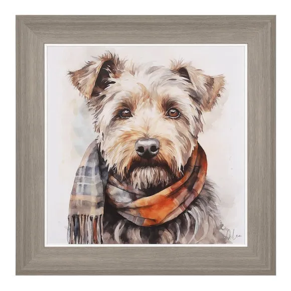 Teddy Framed Print