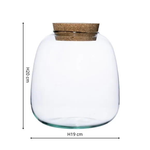 Bowl Shape Medium Terrarium DIY Kit 2
