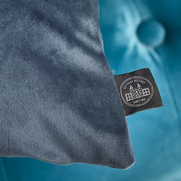 Kingfisher Cushion 5
